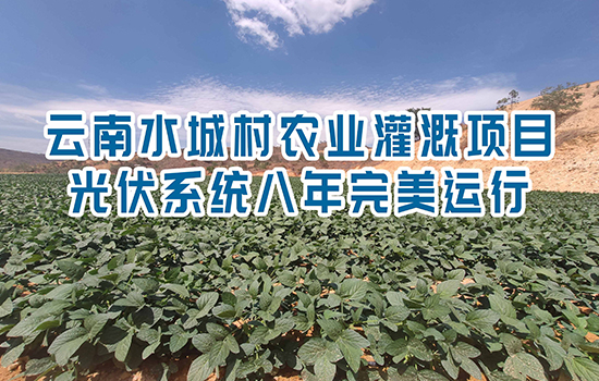 心懷大國工匠之心 鑄造光伏揚水精品